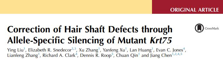 Correction of Hair Shaft Defects through Allele-Specific Silencing of Mutant Krt75