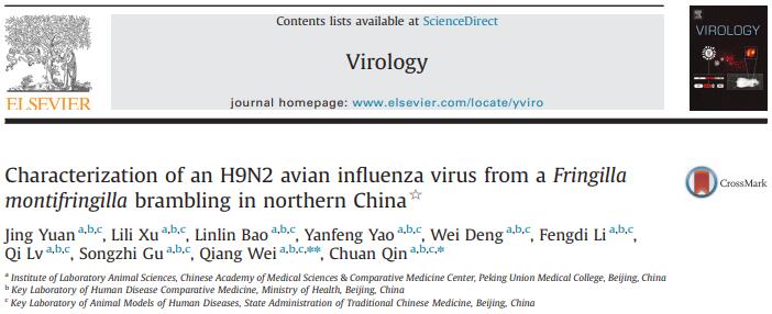 Characterization of an H9N2 avian influenza virus from a Fringilla montifringilla brambling in northern China