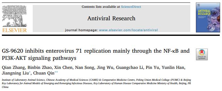 GS-9620 inhibits enterovirus 71 replication mainly through the NF-κB and PI3K-AKT signaling pathways.