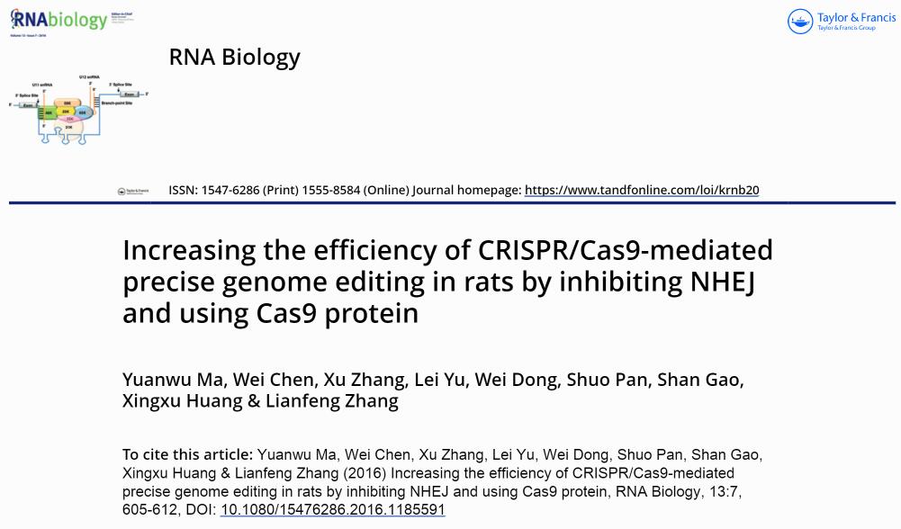 Increasing the efficiency of CRISPRCas9-mediated precise genome editing in rats by inhibiting NHEJ and using Cas9 protein