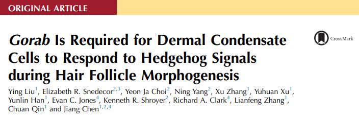 Gorab Is Required for Dermal Condensate Cells to Respond to Hedgehog Signals during Hair Follicle Morphogenesis
