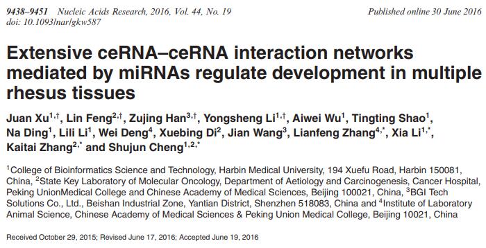 Extensive ceRNA–ceRNA interaction networks mediated by miRNAs regulate development in multiple rhesus tissues