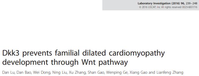 Dkk3 prevents familial dilated cardiomyopathy development through Wnt pathway.
