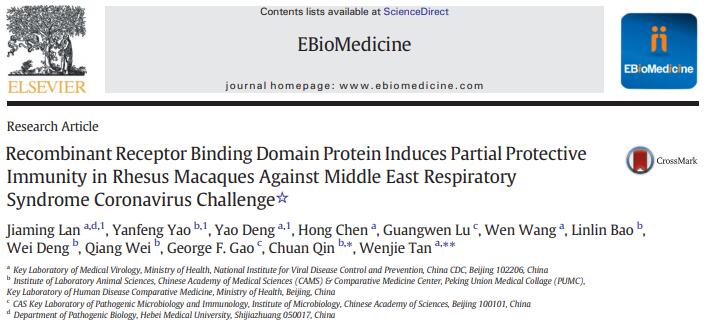 Recombinant Receptor Binding Domain Protein Induces Partial Protective Immunity in Rhesus Macaques Against Middle East Respiratory Syndrome Coronavirus Challenge