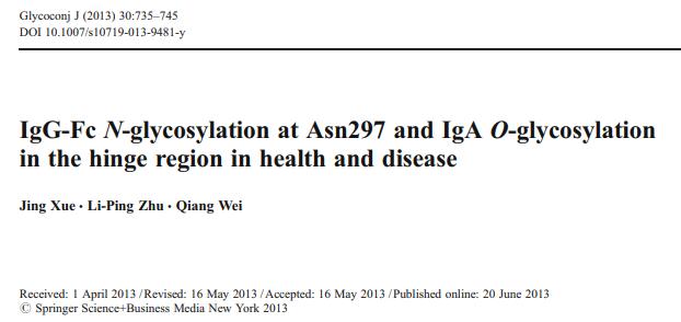 Glycoconj J-IgG-Fc N-glycosylation at Asn297 and IgA O-glycosylation in the hinge region in health and disease