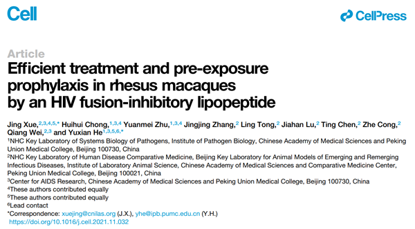《细胞》重磅！我所薛婧团队与病原所何玉先团队合作发现强效艾滋病治疗和预防药物，揭示病毒潜伏库和免疫控制机制